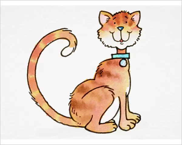 Cartoon, smiling ginger Cat (Felis sylvestris catus) with blue collar, sitting with tail curled up