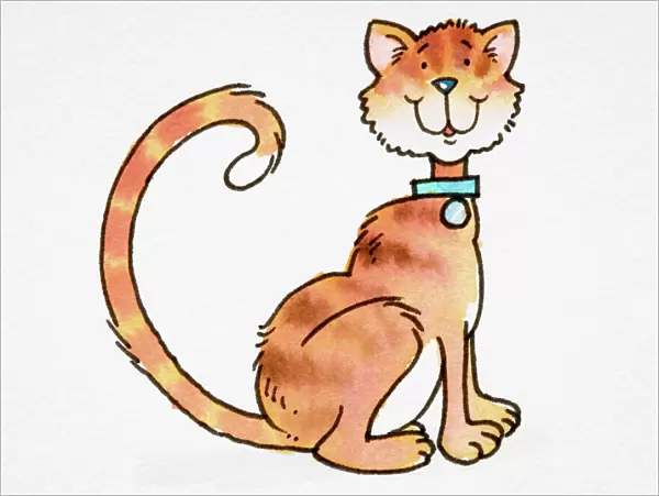 Cartoon, smiling ginger Cat (Felis sylvestris catus) with blue collar, sitting with tail curled up
