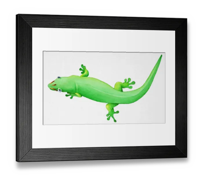 Framed Print : Lacertilia, Green Lizard, overhead view Framed Print : Lacertilia, Green Lizard, overhead view