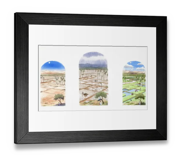 Framed Print : Three views of the same rice field in different weather conditions, during a draught, monsoon and after the rain Framed Print : Three views of the same rice field in different weather conditions, during a draught, monsoon and after the rain