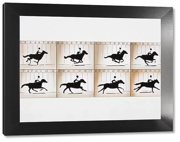 Photographic frames on two film strips depicting action sequence of man riding horse