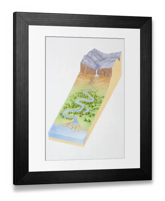 Framed Print : Illustration, three dimensional section of landscape showing river flowing out of mountains, through woodland valley and into sea Framed Print : Illustration, three dimensional section of landscape showing river flowing out of mountains, through woodland valley and into sea