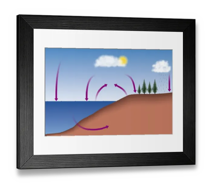 Framed Print : Diagram showing the carbon cycle, digital illustration Framed Print : Diagram showing the carbon cycle, digital illustration