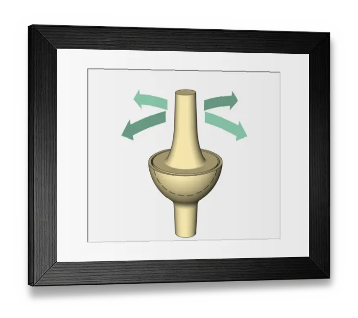 Framed Print : Illustration, ellipsoidal joint, arrows indicating possible directions of movement