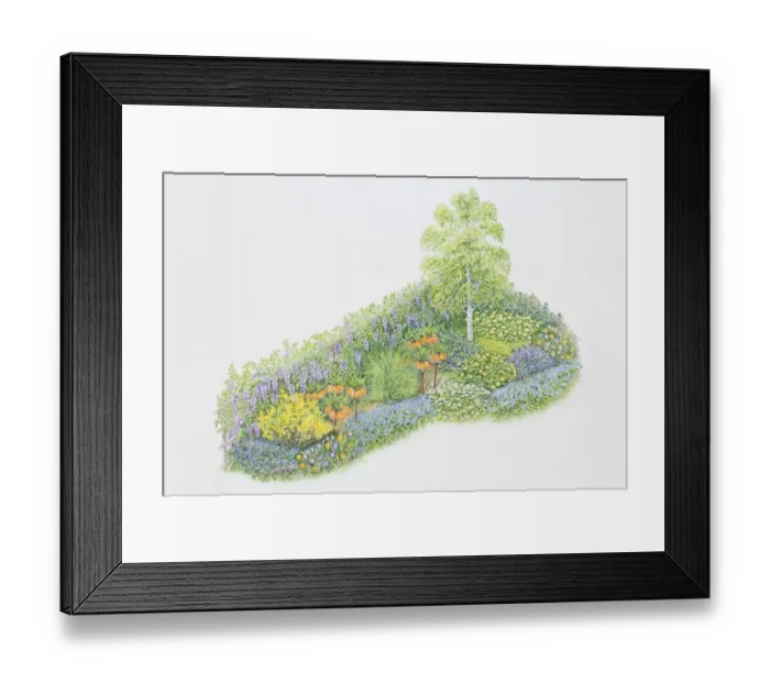 Framed Print : Illustration, tree, shrub and blooming flowerbeds in garden corner, including orange, yellow, blue and purple flowers, elevated view