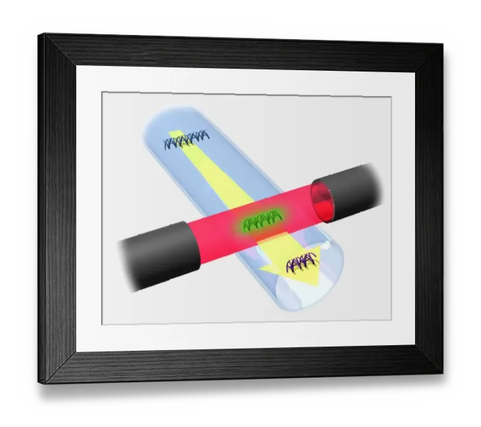 Framed Print : High voltage driving DNA fragments along a capillary tube passing through a photo detector, illustration Framed Print : High voltage driving DNA fragments along a capillary tube passing through a photo detector, illustration