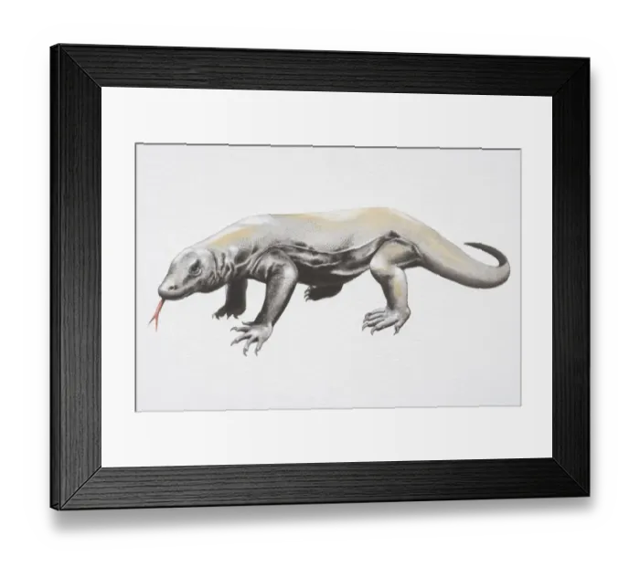 Framed Print : Illustration, Komodo Dragon (varanus komodoensis), side view Framed Print : Illustration, Komodo Dragon (varanus komodoensis), side view