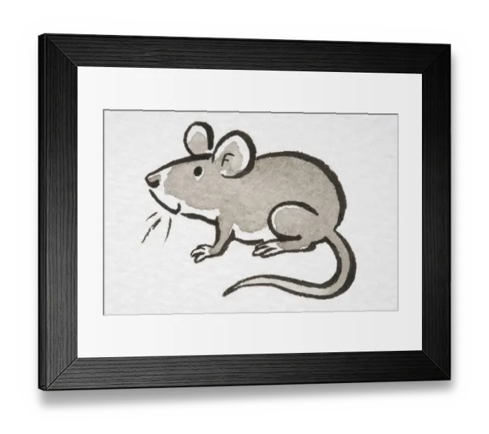 Framed Print : Illustration, smiling House Mouse (Mus musculus), side view Framed Print : Illustration, smiling House Mouse (Mus musculus), side view