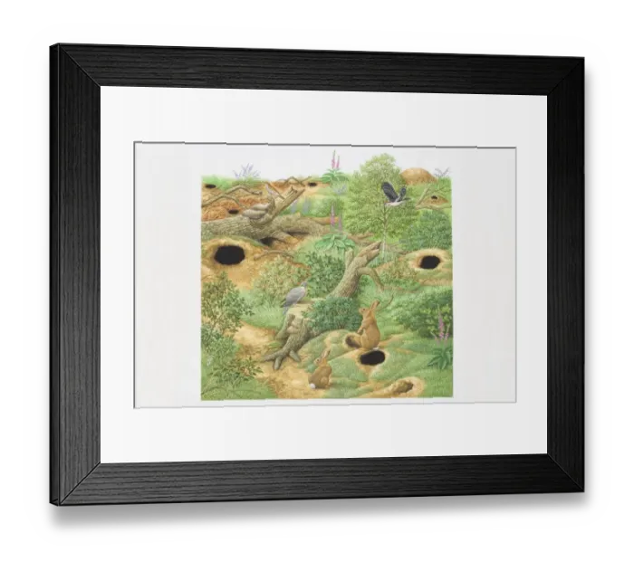 Framed Print : Illustration, Rabbits and Birds inhabiting woodland scene with green vegetation, fallen trees and holes in the ground leading to lairs and underground tunnels Framed Print : Illustration, Rabbits and Birds inhabiting woodland scene with green vegetation, fallen trees and holes in the ground leading to lairs and underground tunnels