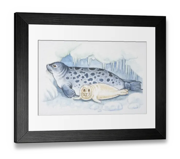 Framed Print : Illustration, blue spotted seal with white pup Framed Print : Illustration, blue spotted seal with white pup
