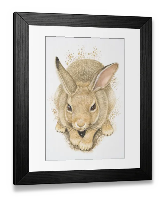 Framed Print : Illustration, European Rabbit (Oryctolagus cuniculus) digging, elevated view Framed Print : Illustration, European Rabbit (Oryctolagus cuniculus) digging, elevated view