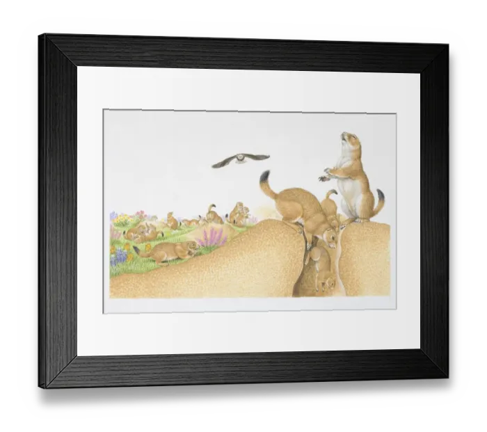 Framed Print : Illustration, colony of Prairie Dogs (Cynomys sp. ), shown playing, digging, standing on edge of mound and disappearing into burrow, eagle flying overhead Framed Print : Illustration, colony of Prairie Dogs (Cynomys sp. ), shown playing, digging, standing on edge of mound and disappearing into burrow, eagle flying overhead