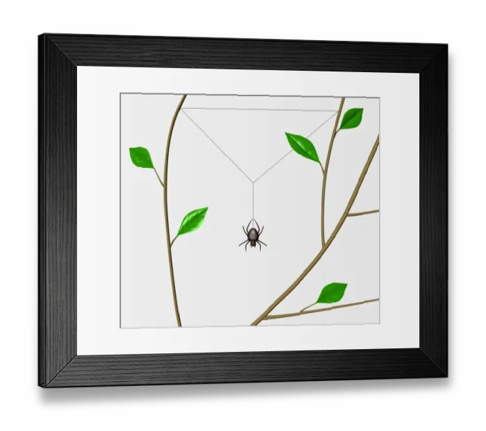Framed Print : Orb Web Spider (Araneidae) beginning to weave web frame between tree branches Framed Print : Orb Web Spider (Araneidae) beginning to weave web frame between tree branches