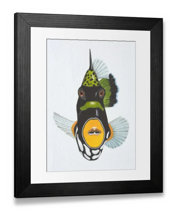 Framed Print : Illustration, Clown Triggerfish (balistoides conspicillum), front view Framed Print : Illustration, Clown Triggerfish (balistoides conspicillum), front view