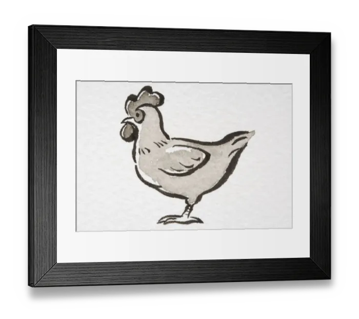 Framed Print : Illustration, Domestic Chicken (Gallus gallus) standing, side view Framed Print : Illustration, Domestic Chicken (Gallus gallus) standing, side view