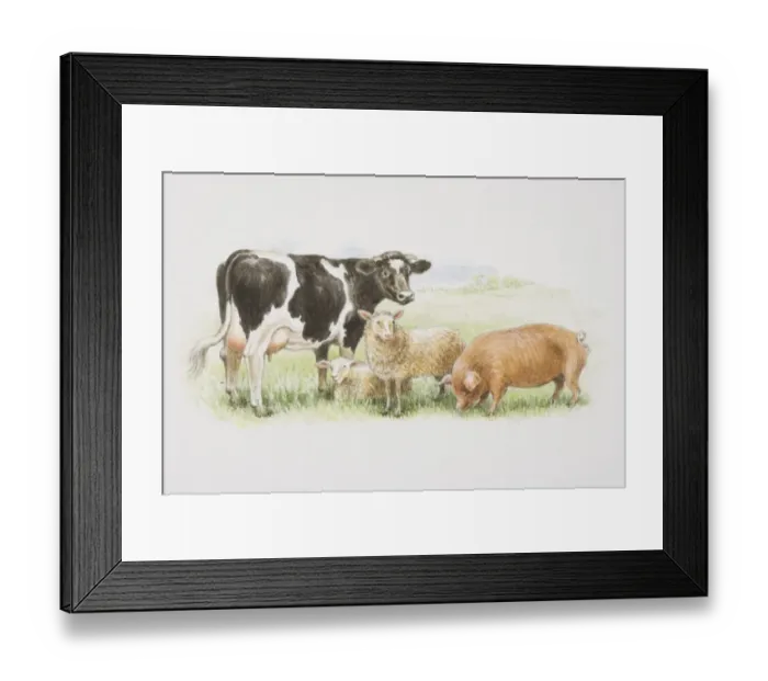 Framed Print : A black and white cow, two sheep and a brown pig standing together in a field Framed Print : A black and white cow, two sheep and a brown pig standing together in a field