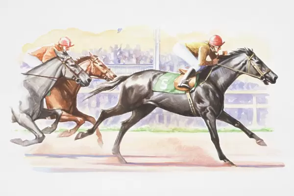 Jockeys riding in horse race, spectators in background, side view