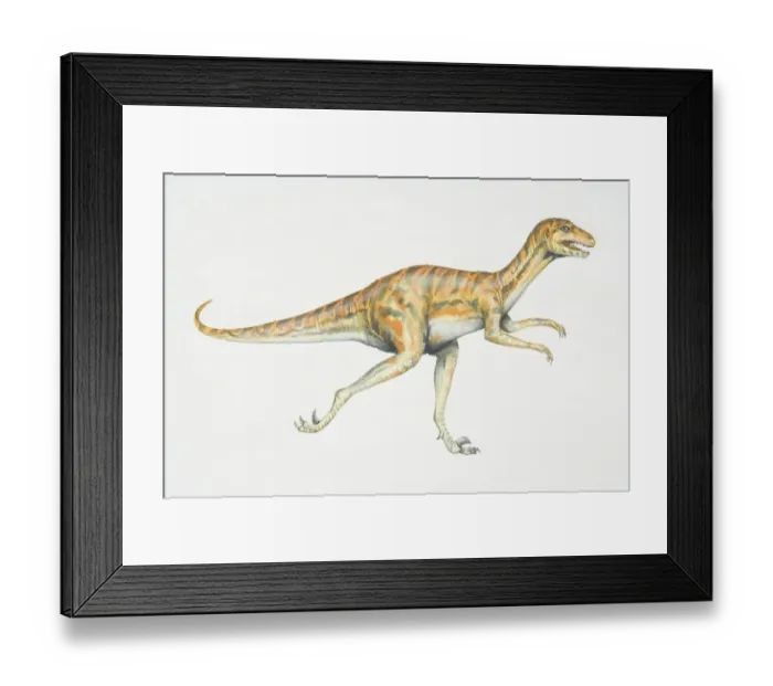 Framed Print : Dromaeosaurus, red and black striped dinosaur with strong hind legs, side view Framed Print : Dromaeosaurus, red and black striped dinosaur with strong hind legs, side view