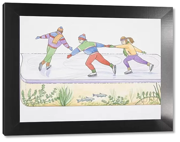 Three ice-skaters on frozen pond or lake, cross section showing underwater flora and fauna below