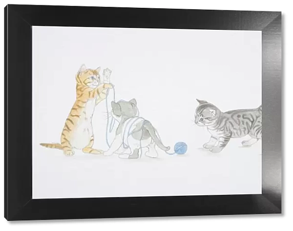 Illustration, three kittens playing with ball of wool, kitten to left holding up thread in front of entangled kitten in middle, kitten to left looking at ball