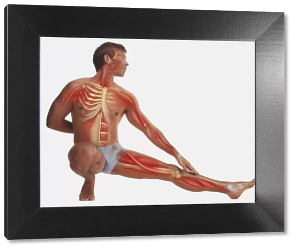 Man balancing on one foot, kneeling, other foot stretched out, hand behind back, other hand touching outstretched leg, illustration of his muscles and skeleton overlaid on body