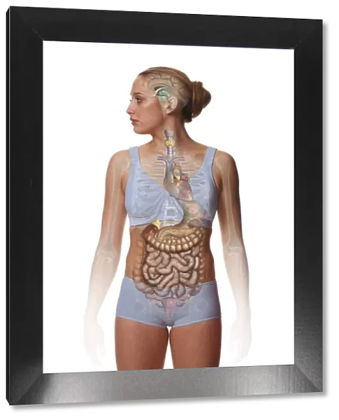 Woman standing, body facing forward head turned to one side, illustration overlay showing skeleton and inner organs