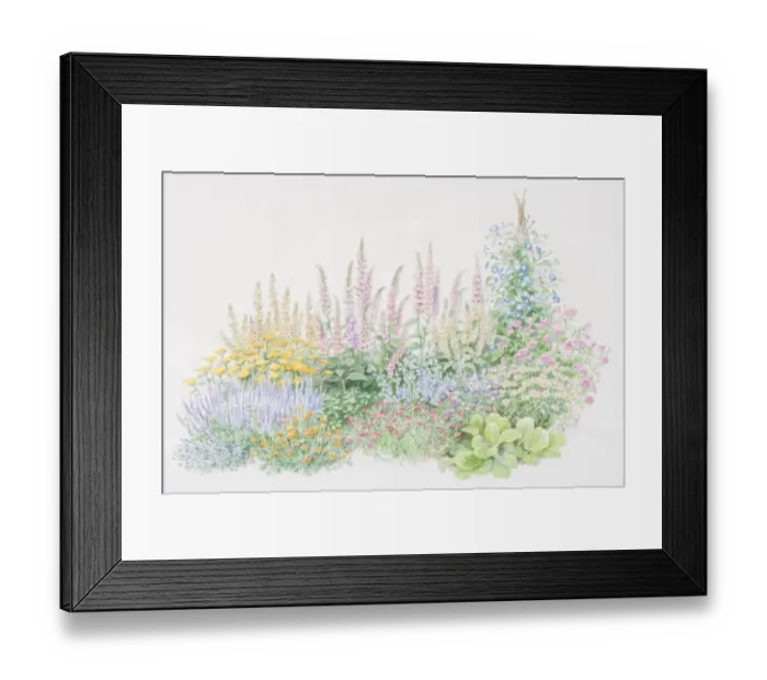 Framed Print : Colourful flower bed