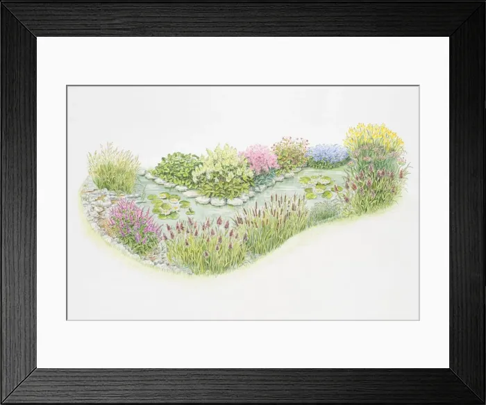 Framed Print : Poolside plants Framed Print : Poolside plants