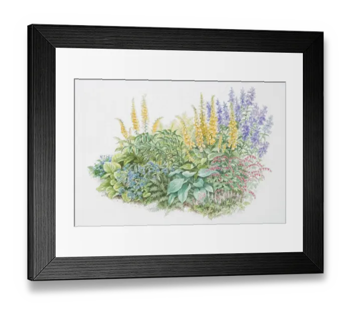 Framed Print : Bed of leafy and flowering plants Framed Print : Bed of leafy and flowering plants