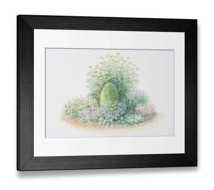 Framed Print : Herb wheel, including, Tanacetum parthenium or Feverfew, Origanum vulgare or Marjoram, Borago officinalis or Borage, Thymus serpyllum or Creeping Thymes, green leaves of mint plant, to right, Allium schoenoprasum or Chives, Foeniculum vulgare or Fennel Framed Print : Herb wheel, including, Tanacetum parthenium or Feverfew, Origanum vulgare or Marjoram, Borago officinalis or Borage, Thymus serpyllum or Creeping Thymes, green leaves of mint plant, to right, Allium schoenoprasum or Chives, Foeniculum vulgare or Fennel