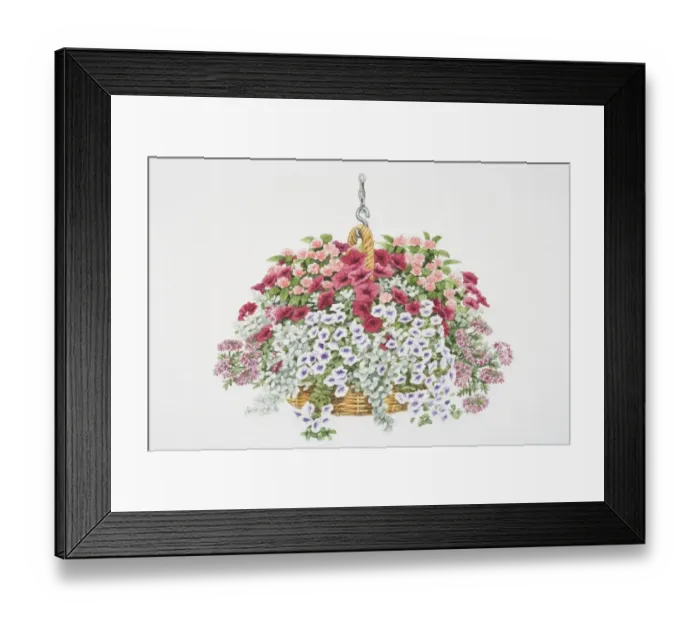 Framed Print : Tiny red flowers of Verbena Carousel, purple-white flowers of Petunia Surfinia Blue Vein, pink rose-like flowers of Impatiens or Busy Lizzie Framed Print : Tiny red flowers of Verbena Carousel, purple-white flowers of Petunia Surfinia Blue Vein, pink rose-like flowers of Impatiens or Busy Lizzie