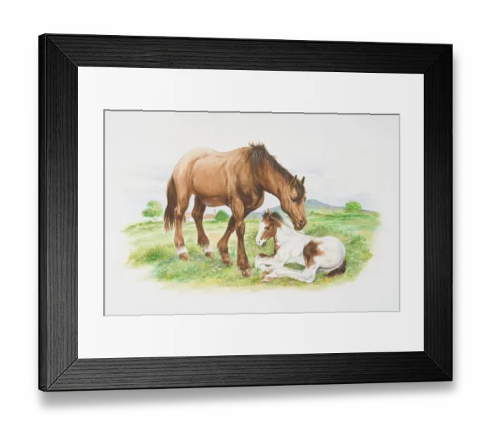 Framed Print : Brown horse (Equus caballus) standing next to white-brown foal lying in grass