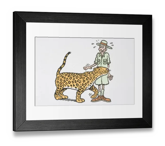 Framed Print : Jaguar (Panthera onca) rubbing its head against safari tourist Framed Print : Jaguar (Panthera onca) rubbing its head against safari tourist