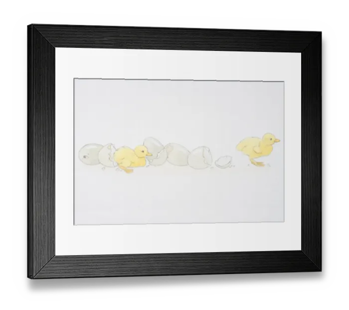 Framed Print : Two baby ducklings emerging from broken egg shells Framed Print : Two baby ducklings emerging from broken egg shells