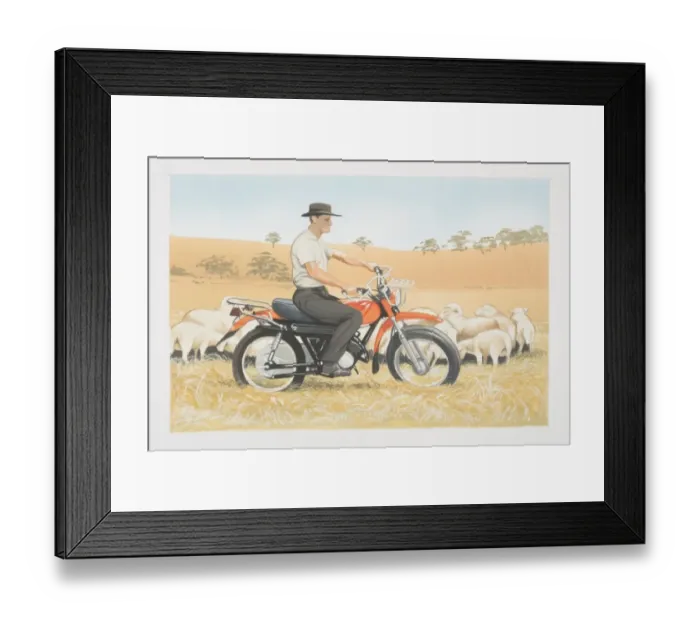 Framed Print : Man on bike riding in field rounding sheep