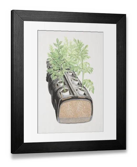 Framed Print : Cross section of hydroponic water garden Framed Print : Cross section of hydroponic water garden