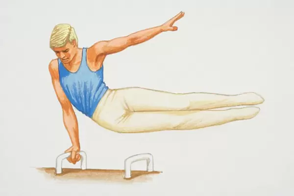 Male gymnast exercising on a pommel horse, front view