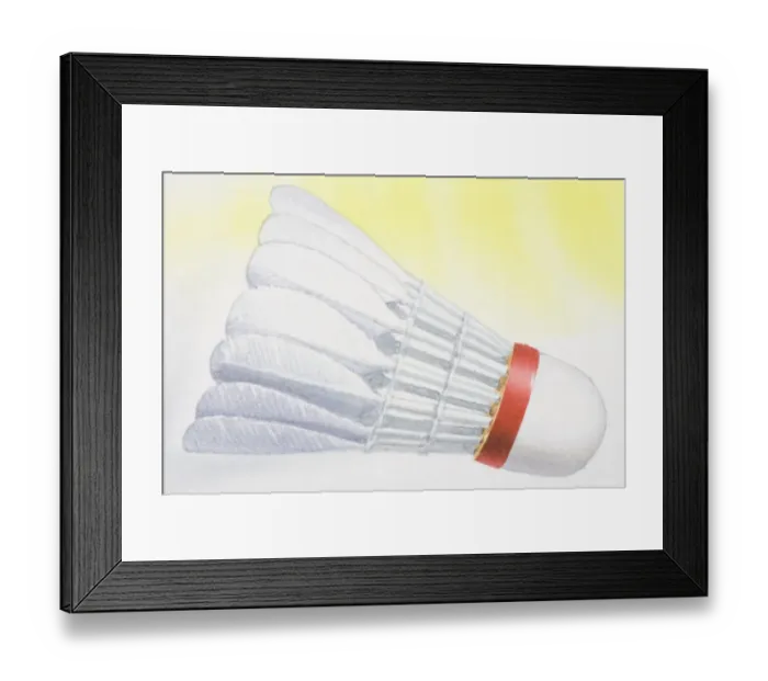 Framed Print : Shuttlecock, close up Framed Print : Shuttlecock, close up