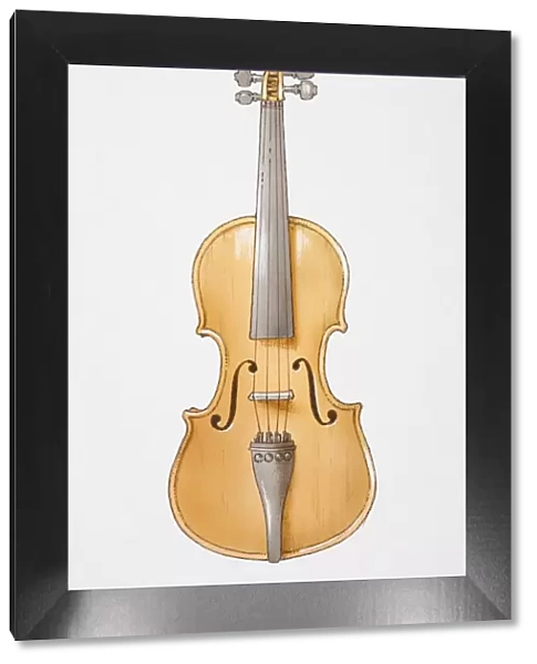 Stradivarius violin, front view
