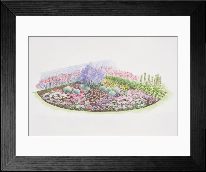 Framed Print : Colourful autumn bulb border, planting plan in top right-hand corner Framed Print : Colourful autumn bulb border, planting plan in top right-hand corner