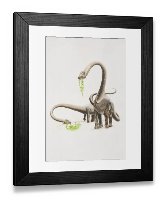 Framed Print : Two Barosaurs eating plants, front view Framed Print : Two Barosaurs eating plants, front view