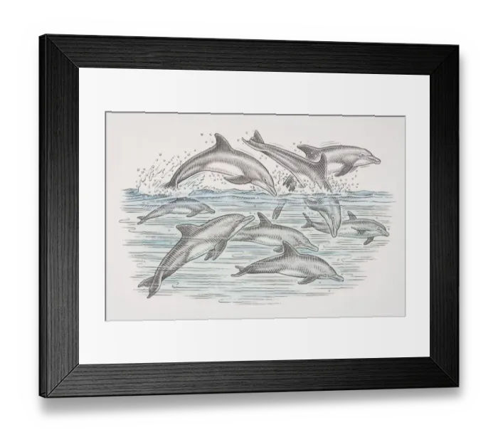 Framed Print : Cross-section underwater view of dolphins swimming and leaping over water surface, side view Framed Print : Cross-section underwater view of dolphins swimming and leaping over water surface, side view