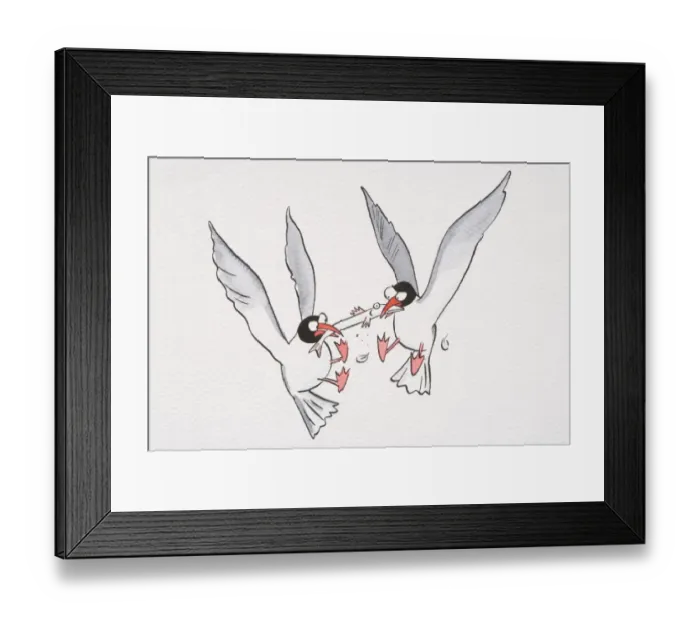 Framed Print : A cartoon of two seagulls fighting for food Framed Print : A cartoon of two seagulls fighting for food