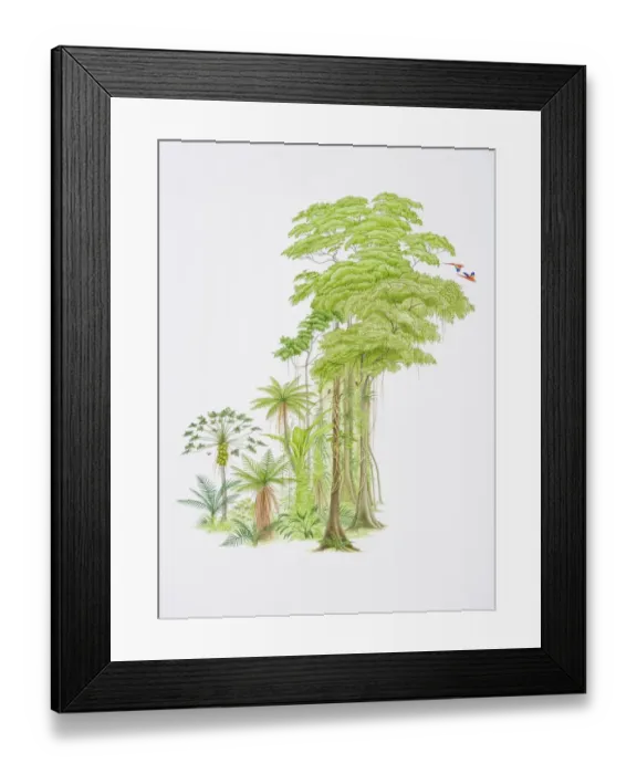 Framed Print : Tropical forest scene with monkeys swinging from hanging tree-roots and colourful parrots flying off branches Framed Print : Tropical forest scene with monkeys swinging from hanging tree-roots and colourful parrots flying off branches