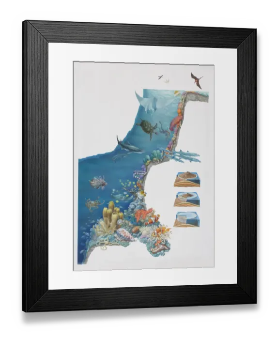 Framed Print : Underwater scene depicting various animal species inhabiting coral reef Framed Print : Underwater scene depicting various animal species inhabiting coral reef