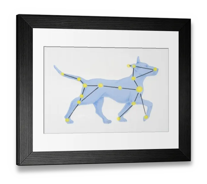 Framed Print : A diagram illustrating the constellation of Canis Major complete with image of dog Framed Print : A diagram illustrating the constellation of Canis Major complete with image of dog