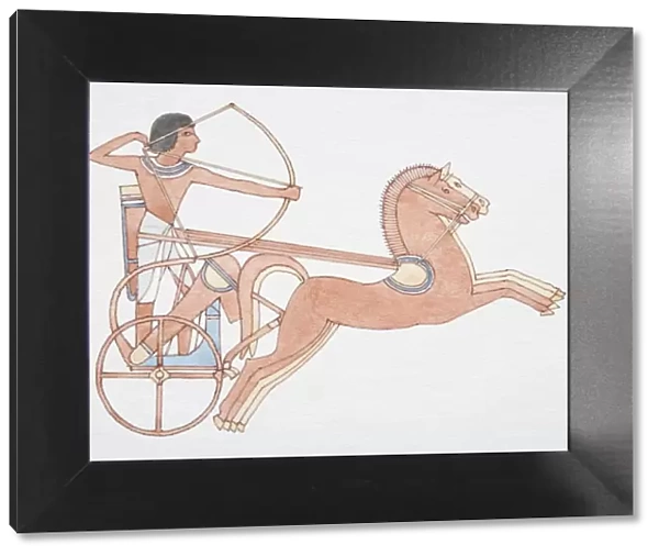 2000 BC Egyptian horse-drawn chariot, side view