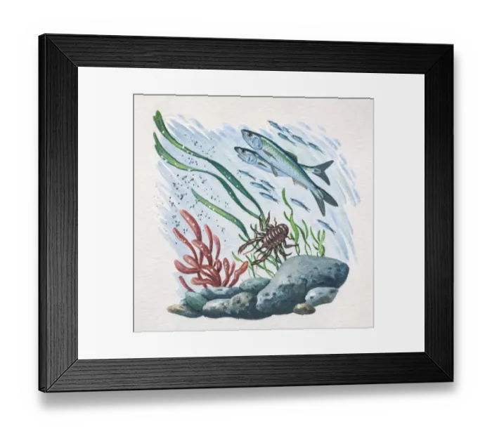 Framed Print : Underwater scene with fish, crab, sea plants and rocks, side view