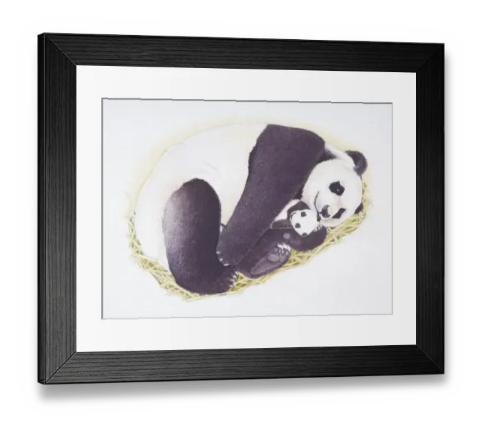 Framed Print : Female Giant Panda, Ailuropoda melanoleuca, cradling tiny cub, front view Framed Print : Female Giant Panda, Ailuropoda melanoleuca, cradling tiny cub, front view