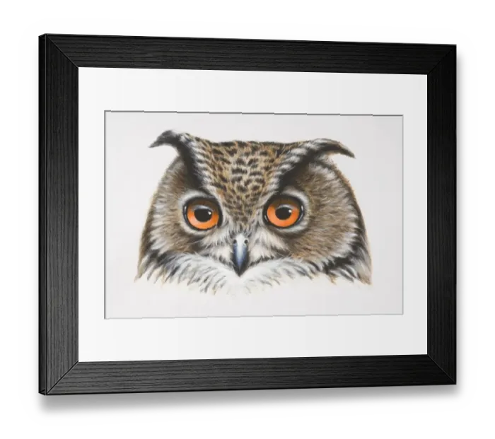 Framed Print : Eurasian Eagle-Owl, Bubo bubo, head of owl, front view Framed Print : Eurasian Eagle-Owl, Bubo bubo, head of owl, front view
